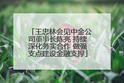王忠林会见中金公司董事长陈亮 持续深化务实合作 做强支点建设金融支撑