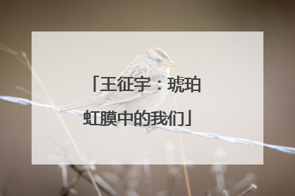 王征宇：琥珀虹膜中的我们