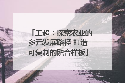 王超：探索农业的多元发展路径 打造可复制的融合样板
