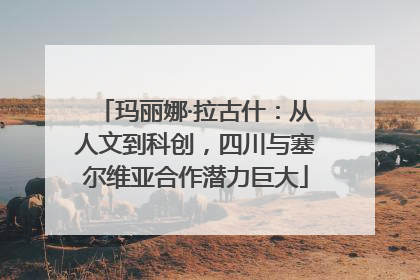 玛丽娜·拉古什：从人文到科创，四川与塞尔维亚合作潜力巨大
