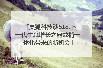 灵狐科技谈618:下一代生意增长之品效销一体化带来的新机会