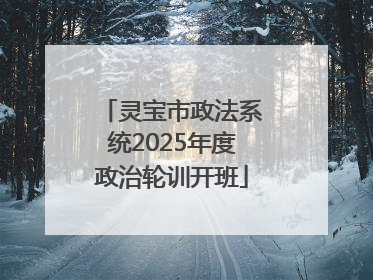 灵宝市政法系统2025年度政治轮训开班