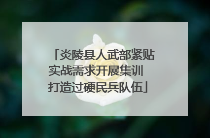 炎陵县人武部紧贴实战需求开展集训 打造过硬民兵队伍