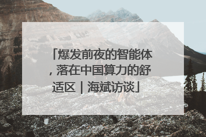 爆发前夜的智能体，落在中国算力的舒适区｜海斌访谈