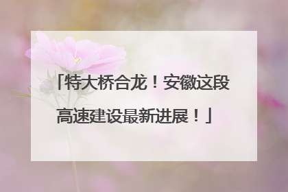 特大桥合龙！安徽这段高速建设最新进展！