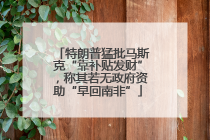 特朗普猛批马斯克“靠补贴发财”，称其若无政府资助“早回南非”