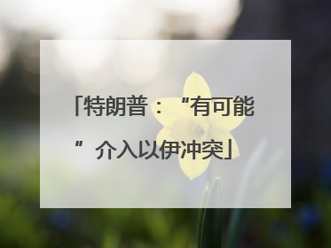 特朗普：“有可能”介入以伊冲突