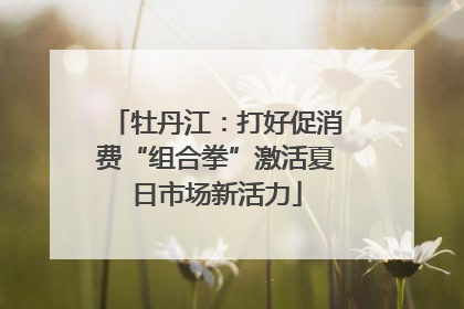 牡丹江：打好促消费“组合拳”激活夏日市场新活力