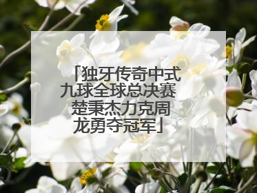独牙传奇中式九球全球总决赛 楚秉杰力克周龙勇夺冠军