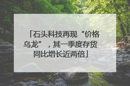石头科技再现“价格乌龙”，其一季度存货同比增长近两倍