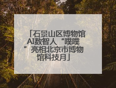 石景山区博物馆AI数智人“噗噗”亮相北京市博物馆科技月