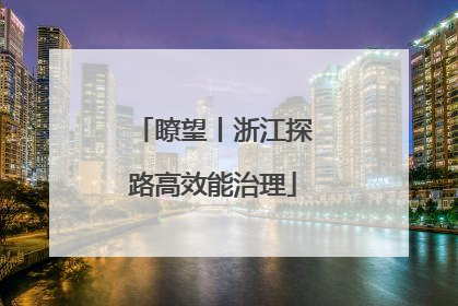 瞭望丨浙江探路高效能治理