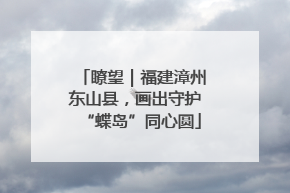 瞭望｜福建漳州东山县，画出守护“蝶岛”同心圆
