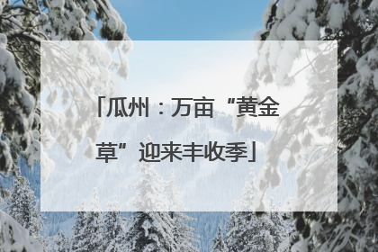 瓜州：万亩“黄金草”迎来丰收季