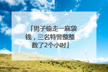 男子偷走一麻袋钱，三名特警整整数了2个小时
