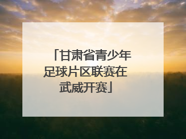 甘肃省青少年足球片区联赛在武威开赛