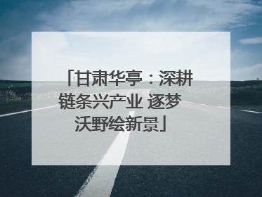 甘肃华亭：深耕链条兴产业 逐梦沃野绘新景
