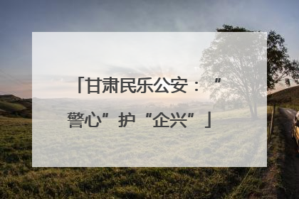 甘肃民乐公安：“警心”护“企兴”