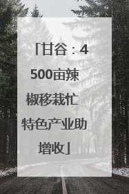 甘谷：4500亩辣椒移栽忙 特色产业助增收