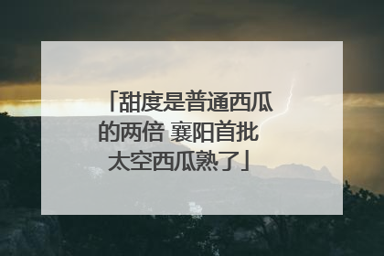 甜度是普通西瓜的两倍 襄阳首批太空西瓜熟了