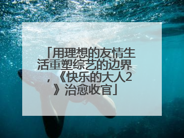 用理想的友情生活重塑综艺的边界，《快乐的大人2》治愈收官