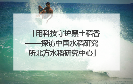 用科技守护黑土稻香——探访中国水稻研究所北方水稻研究中心