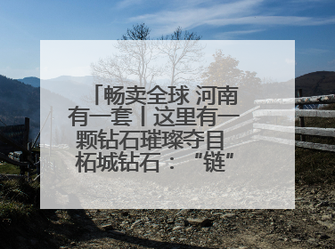 畅卖全球 河南有一套丨这里有一颗钻石璀璨夺目 柘城钻石：“链”就发展新动力