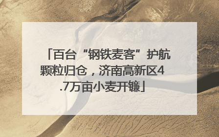 百台“钢铁麦客”护航颗粒归仓，济南高新区4.7万亩小麦开镰