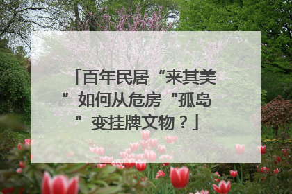 百年民居“来其美”如何从危房“孤岛”变挂牌文物？