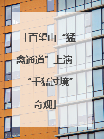 百望山“猛禽通道”上演“千猛过境”奇观