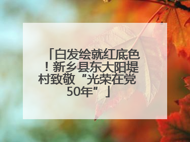 白发绘就红底色！新乡县东大阳堤村致敬“光荣在党50年”