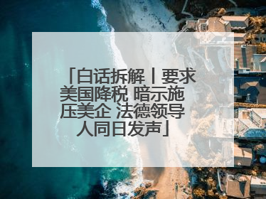 白话拆解丨要求美国降税 暗示施压美企 法德领导人同日发声