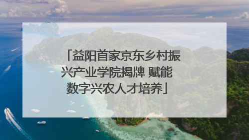 益阳首家京东乡村振兴产业学院揭牌 赋能数字兴农人才培养