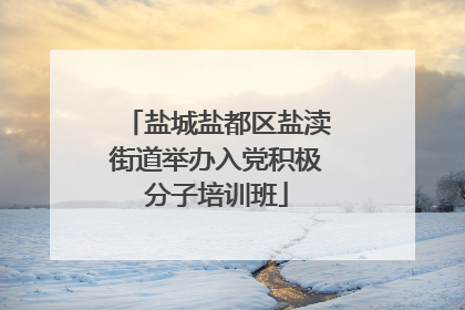 盐城盐都区盐渎街道举办入党积极分子培训班