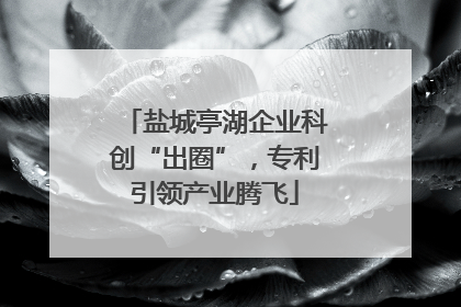 盐城亭湖企业科创“出圈”，专利引领产业腾飞