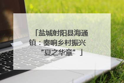 盐城射阳县海通镇：奏响乡村振兴“夏之华章”