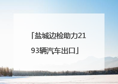 盐城边检助力2193辆汽车出口