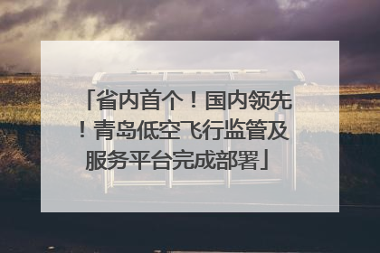 省内首个！国内领先！青岛低空飞行监管及服务平台完成部署