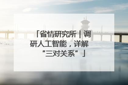 省情研究所｜调研人工智能，详解“三对关系”