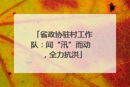 省政协驻村工作队：闻“汛”而动，全力抗洪
