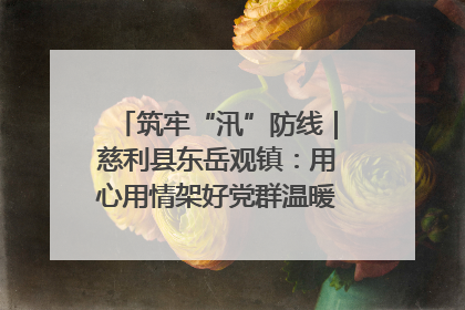 筑牢“汛”防线｜慈利县东岳观镇：用心用情架好党群温暖悠长的“连心桥”