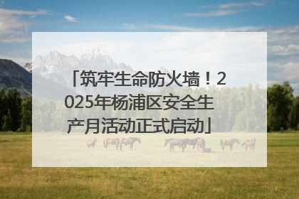筑牢生命防火墙！2025年杨浦区安全生产月活动正式启动