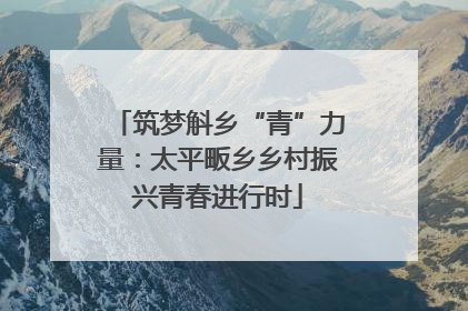 筑梦斛乡“青”力量：太平畈乡乡村振兴青春进行时