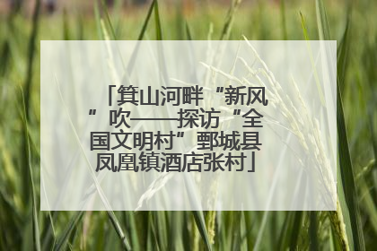 箕山河畔“新风”吹——探访“全国文明村”鄄城县凤凰镇酒店张村