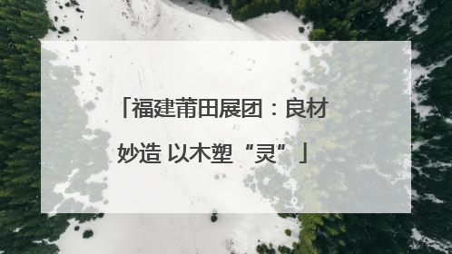 福建莆田展团：良材妙造 以木塑“灵”