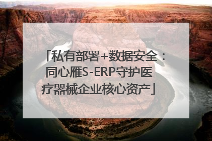私有部署+数据安全：同心雁S-ERP守护医疗器械企业核心资产