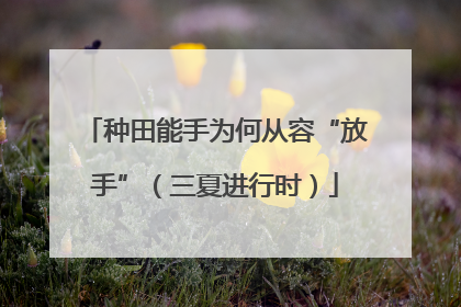 种田能手为何从容“放手”（三夏进行时）