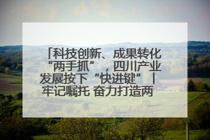 科技创新、成果转化“两手抓”，四川产业发展按下“快进键”丨牢记嘱托 奋力打造两高地两基地一屏障