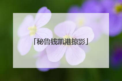 秘鲁钱凯港掠影