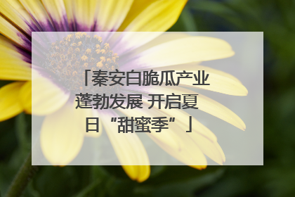 秦安白脆瓜产业蓬勃发展 开启夏日“甜蜜季”